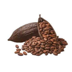 cocoa beans