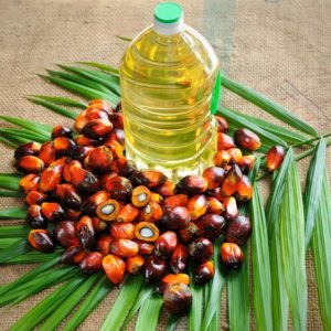 palm oil cp10 for export