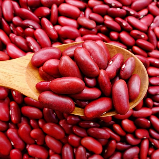 red kidney beans for sale