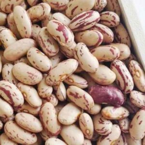 Light Speckled Kidney Beans