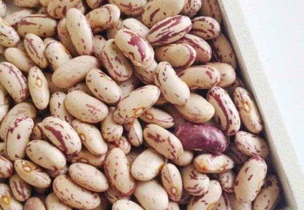 Light Speckled Kidney Beans